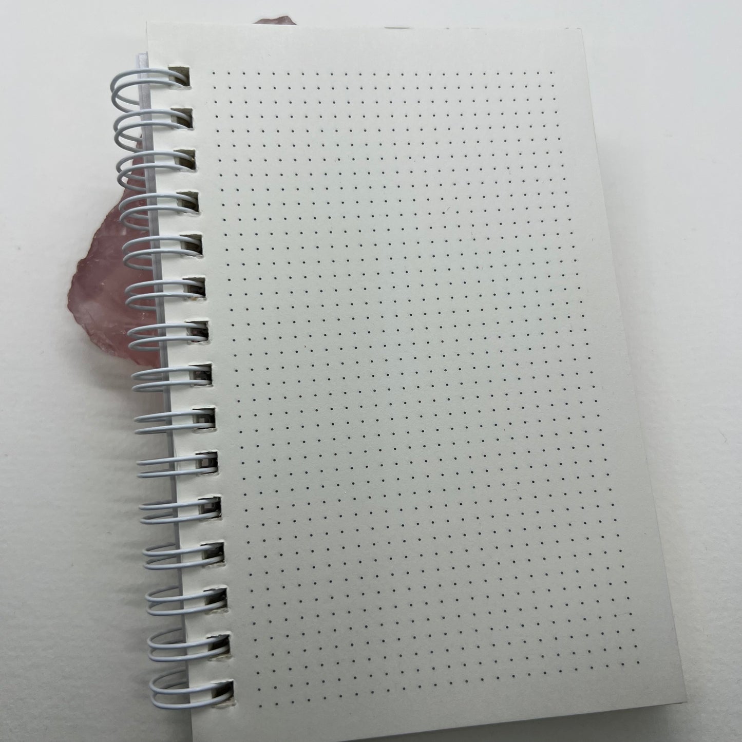 Whale shark notebook