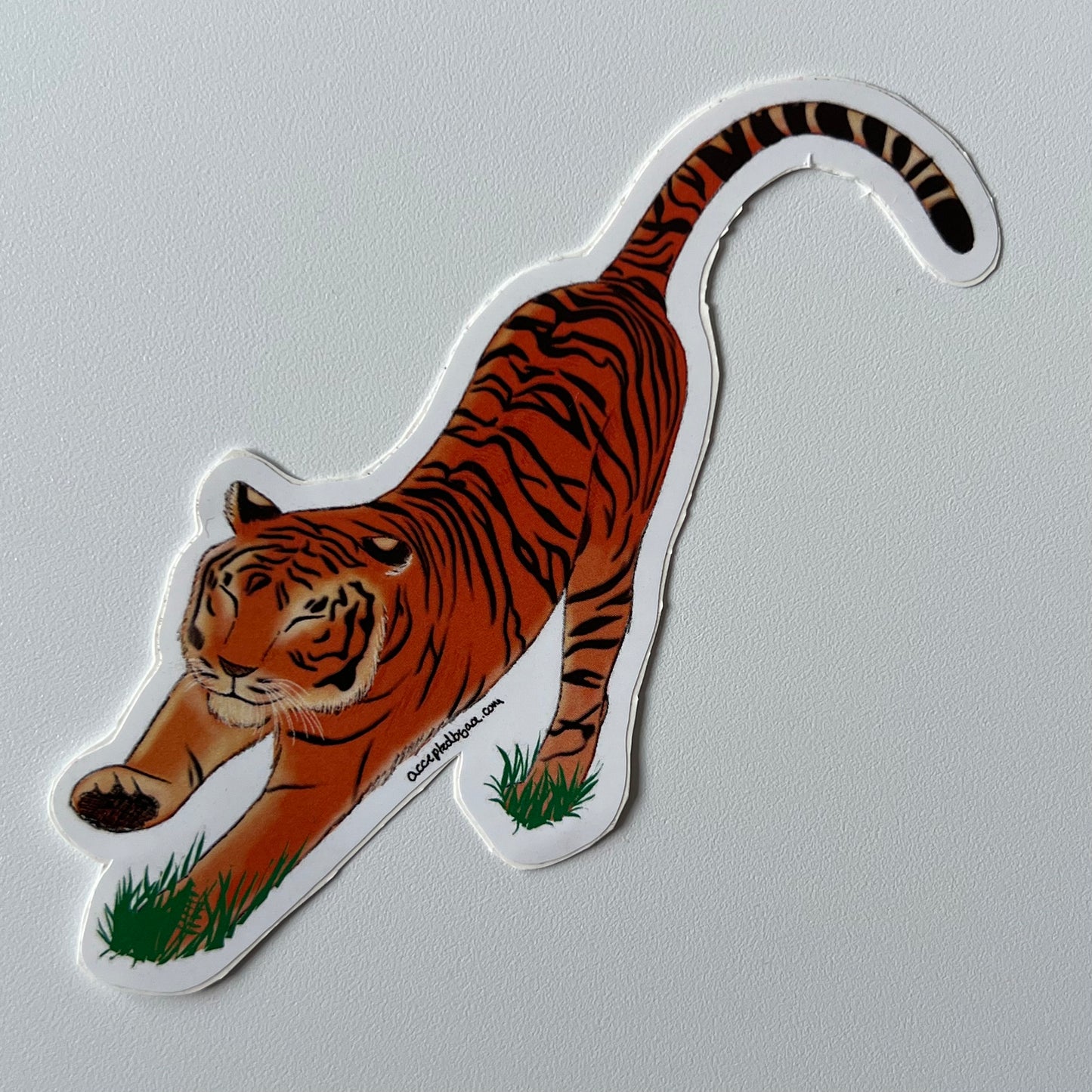 Stretching tiger sticker